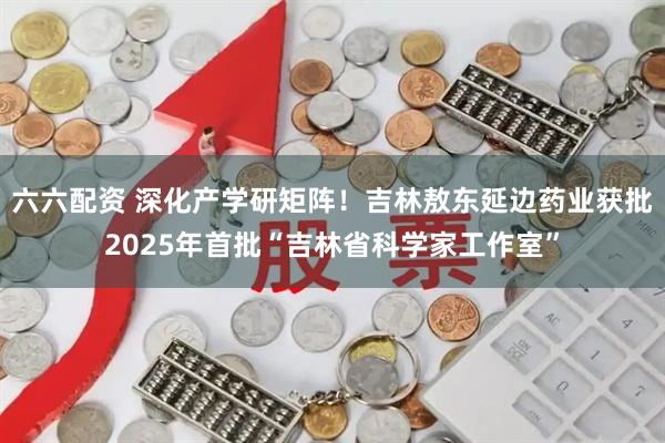 六六配资 深化产学研矩阵！吉林敖东延边药业获批2025年首批“吉林省科学家工作室”