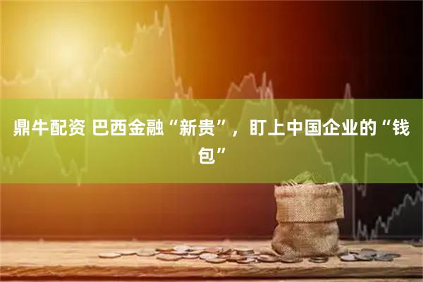 鼎牛配资 巴西金融“新贵”，盯上中国企业的“钱包”